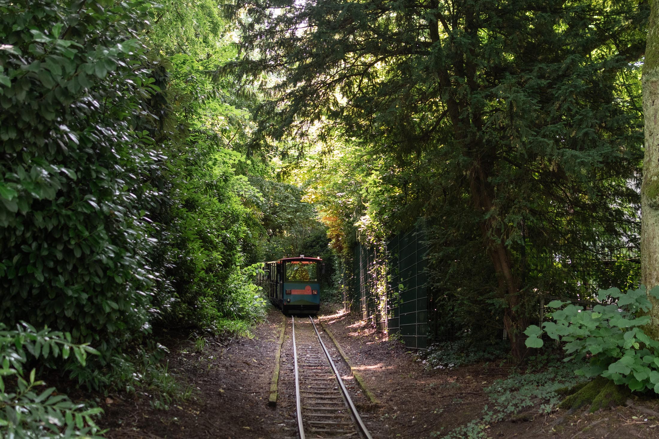 Grugapark Essen
