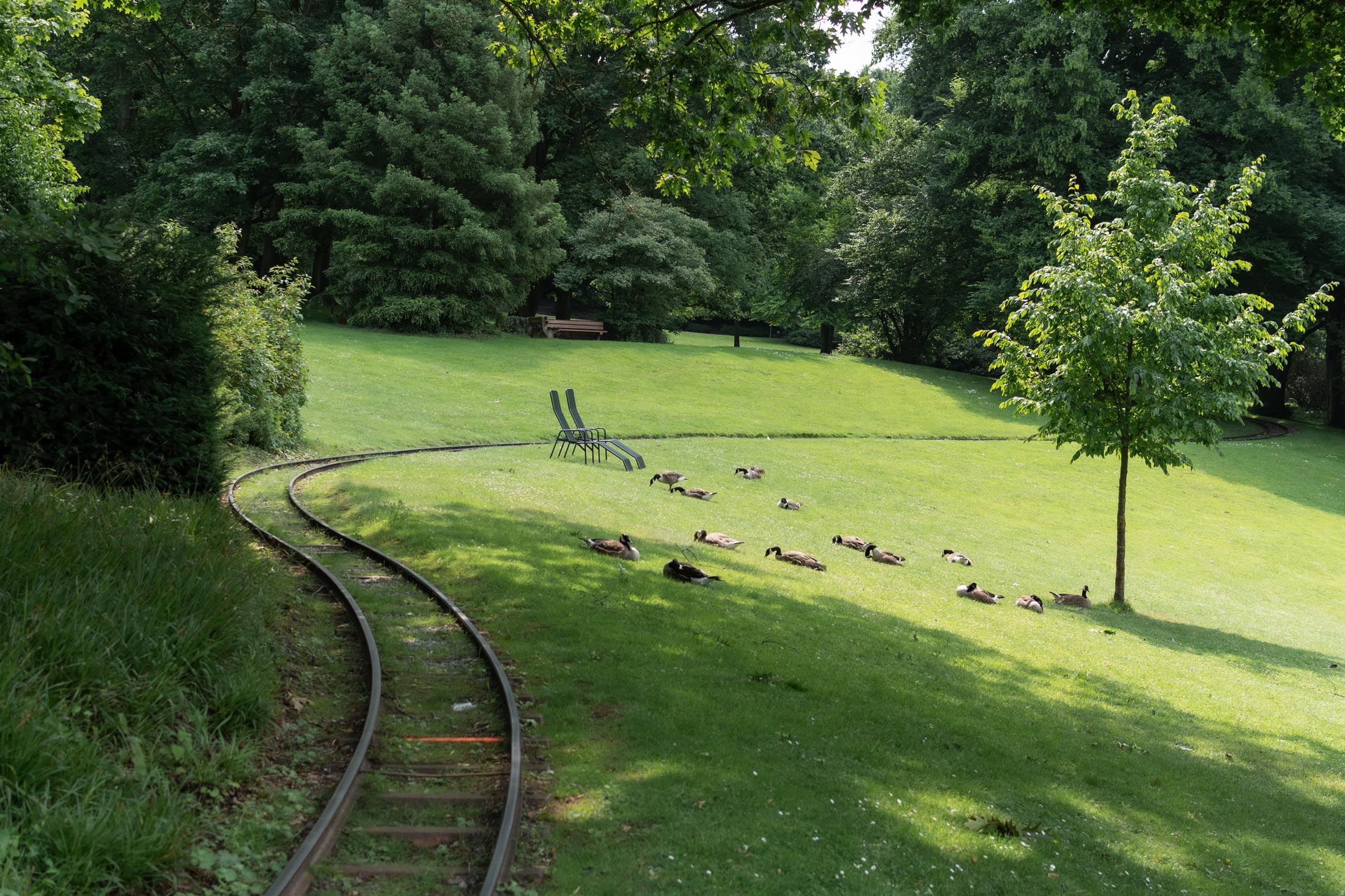 Grugapark Essen