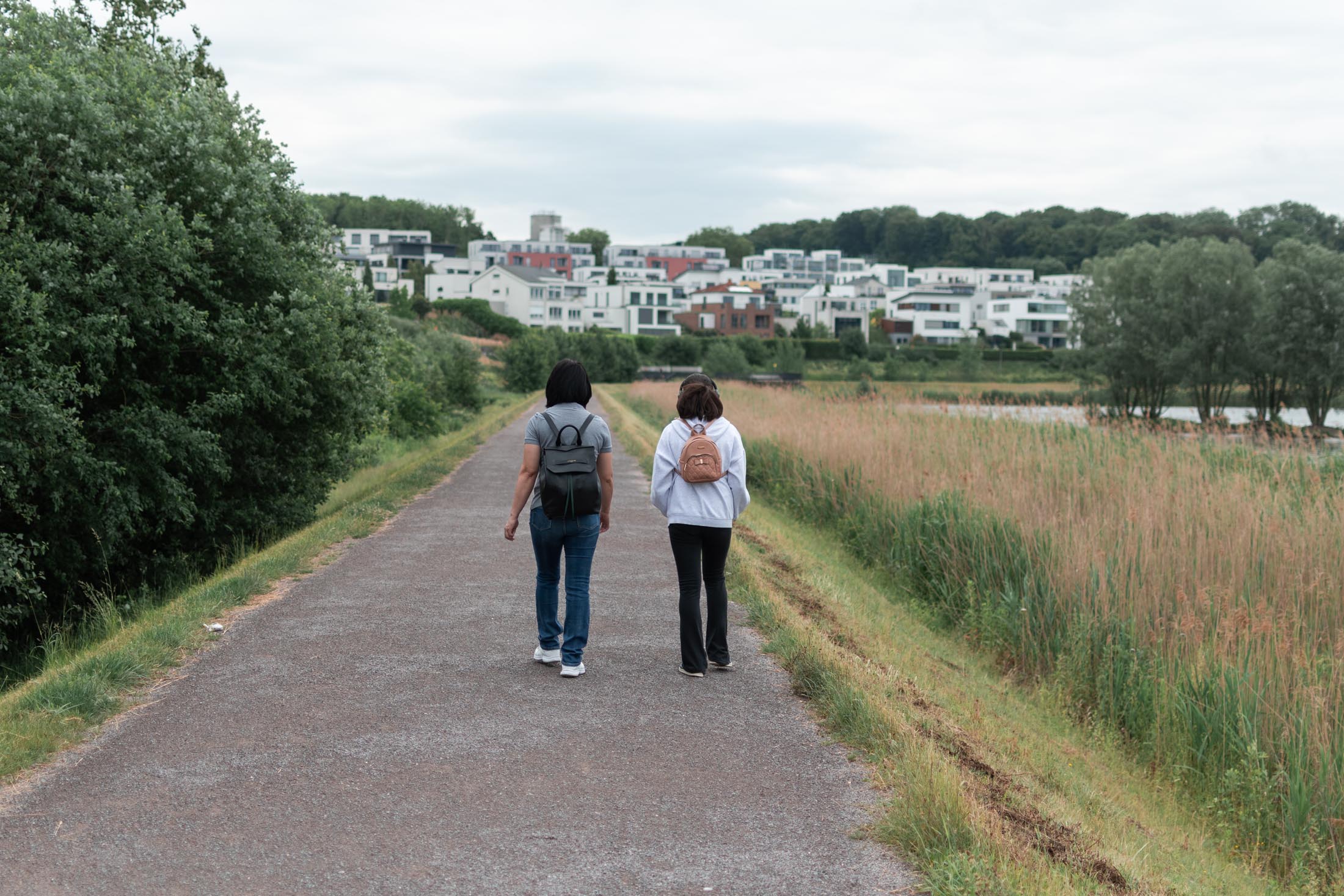Phoenixsee Walk