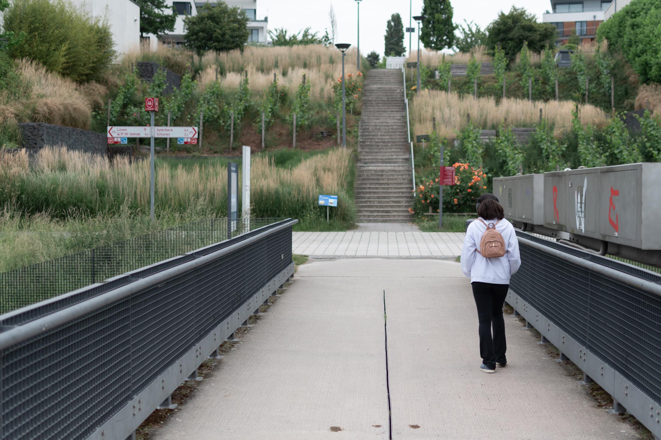 Phoenixsee Walk